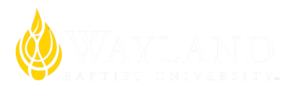 Wayland Alumni PopShop '23